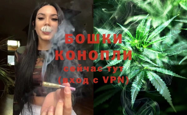 мескалин Елизово