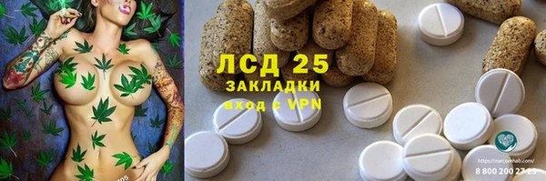 a pvp Ельня