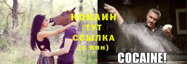 a pvp Ельня