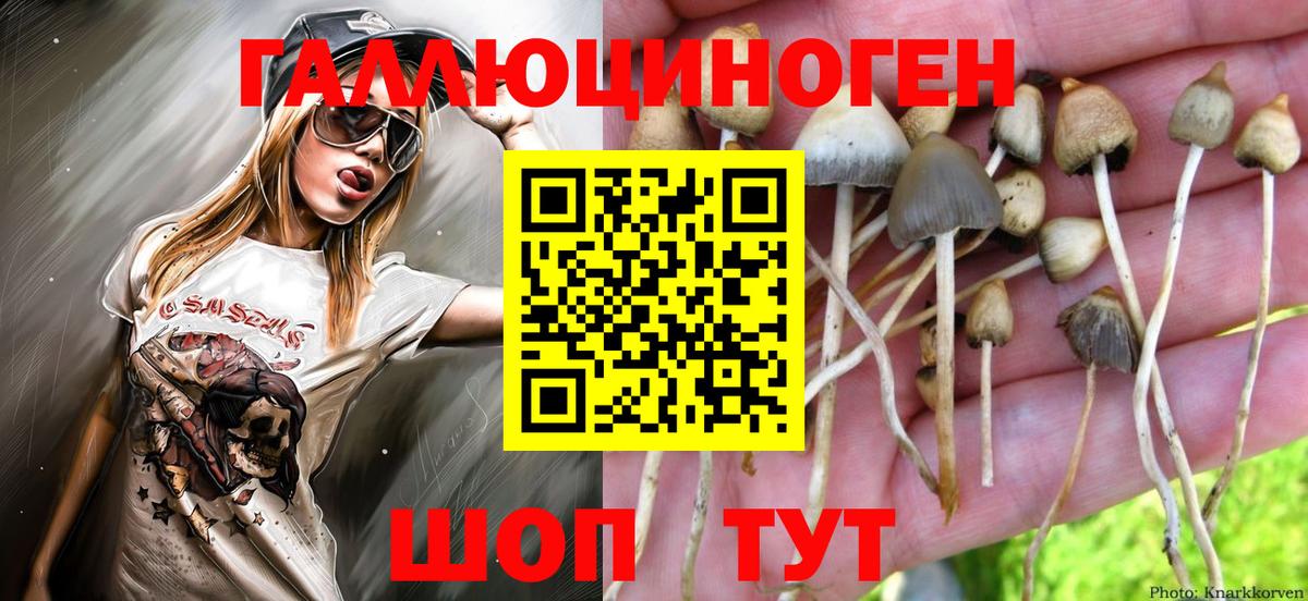 Джанкой  Псилоцибиновые грибы прущие грибы  Вход с VPN 